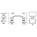 Scart M - Scart M.jpg