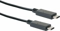 CK3131_1_2.jpg